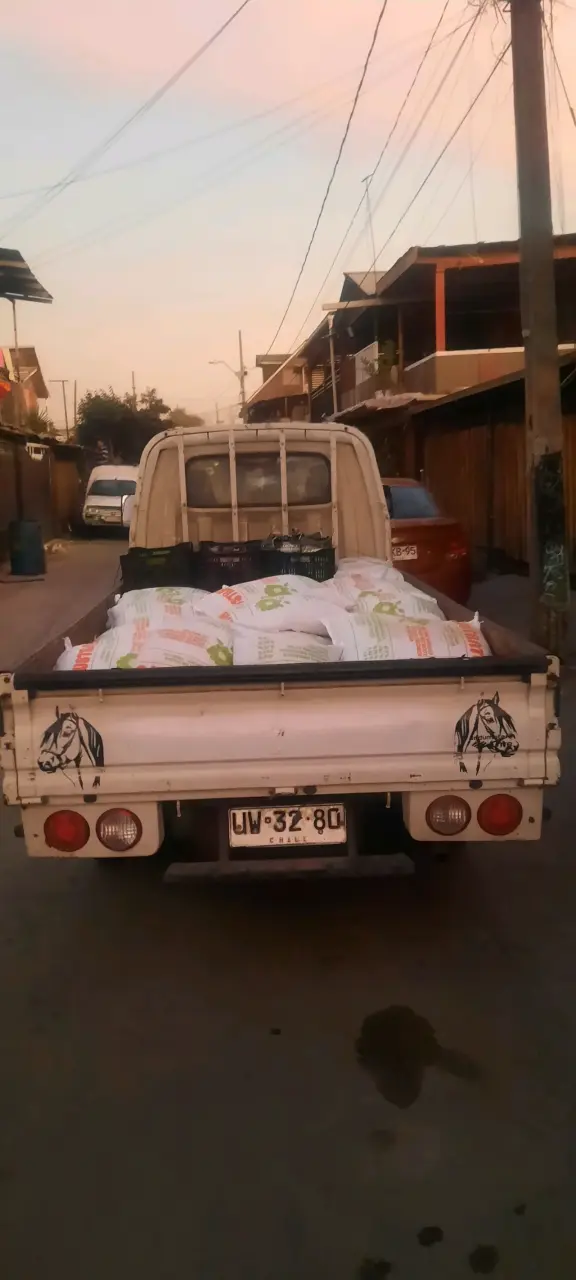 Camioneta Hyundai porter 2007 blanca usada - 2