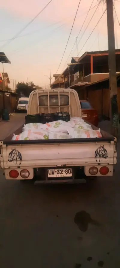 Camioneta Hyundai porter 2007 blanca usada - miniatura 2
