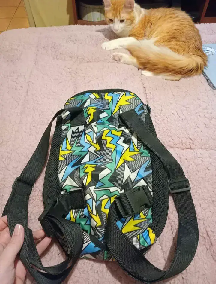 Mochila portamascotas estampada - 3
