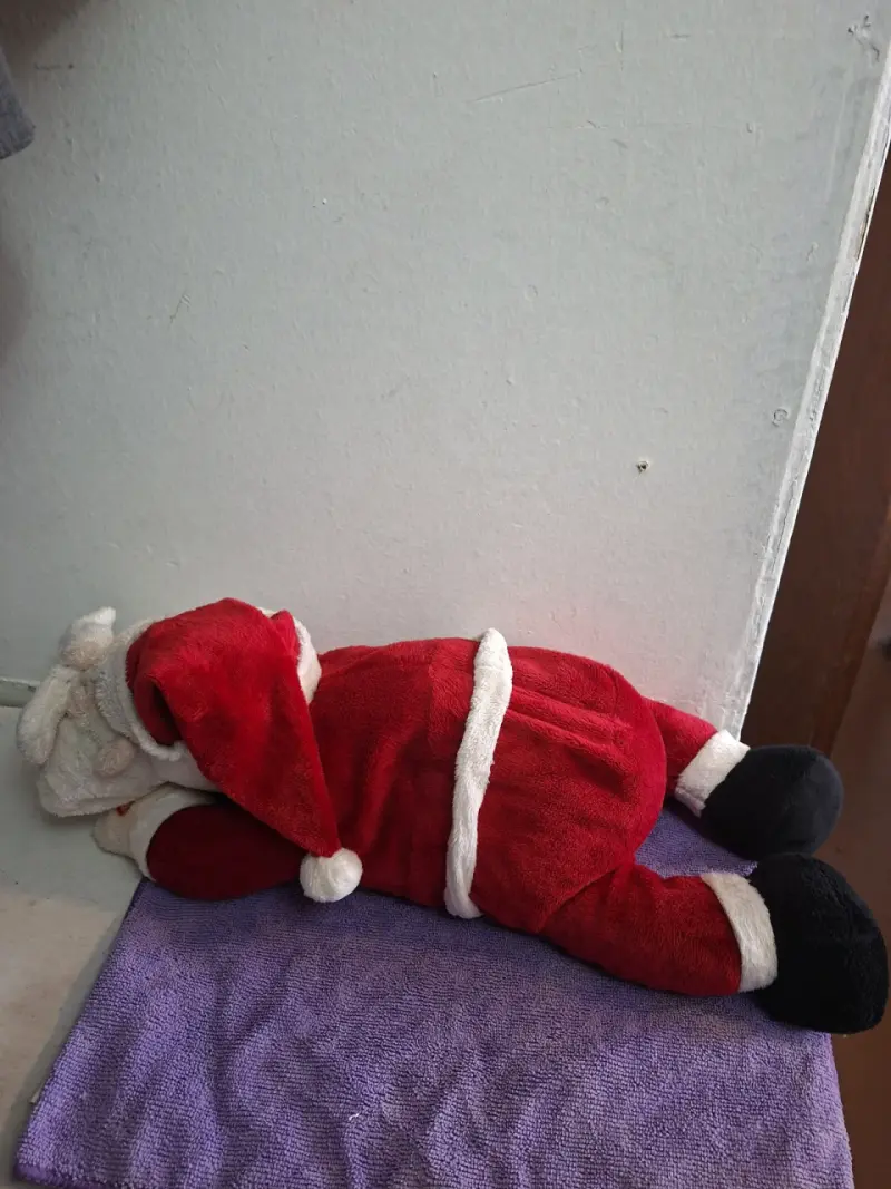 🎅 Viejo Pascuero Animado Vintage (Ronca y se Muev - 4