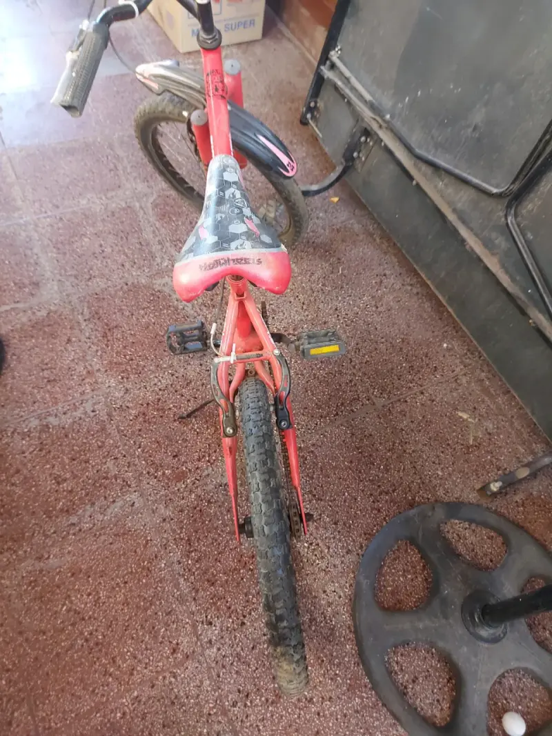 Bicicleta bianchi aro 20 edición Hot wells - 3