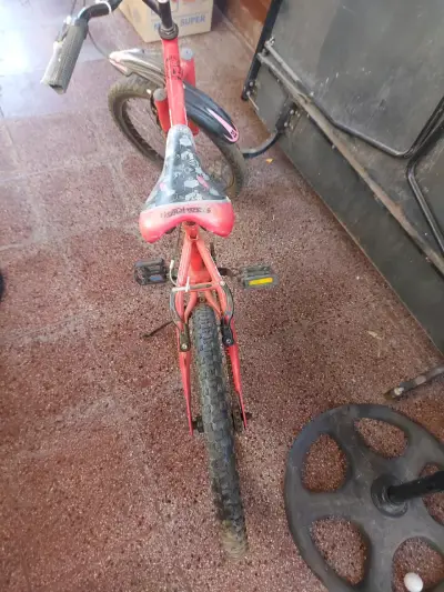 Bicicleta bianchi aro 20 edición Hot wells - miniatura 3