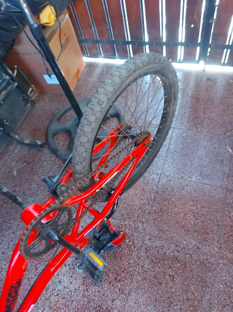 Bicicleta bianchi aro 20 edición Hot wells - 4