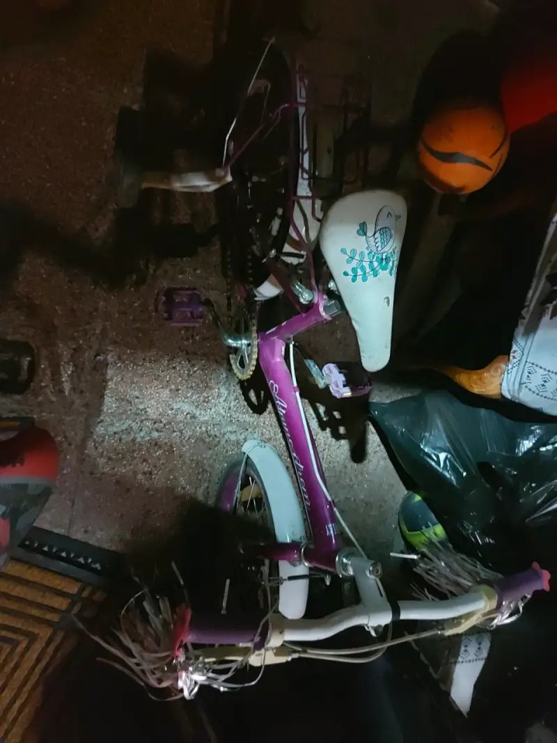 Bicicleta infantil rosa con rueditas - 1