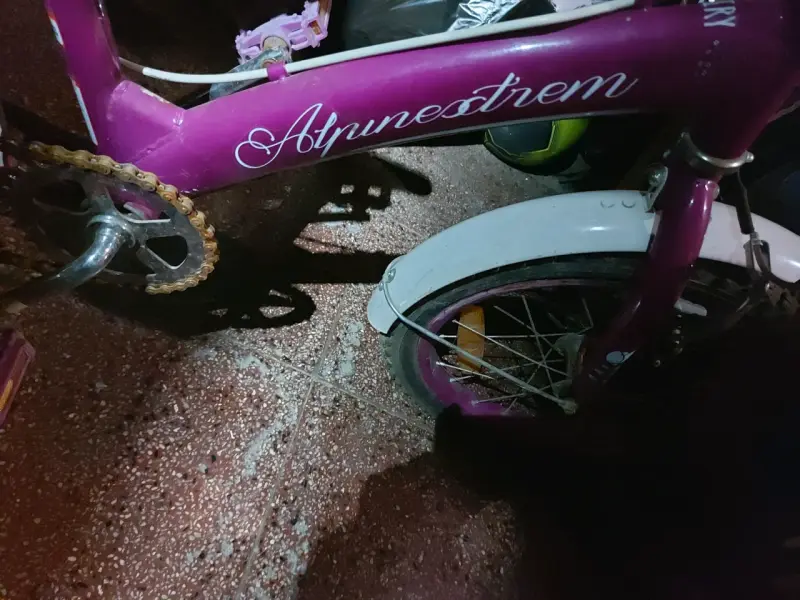 Bicicleta infantil rosa con rueditas - 3