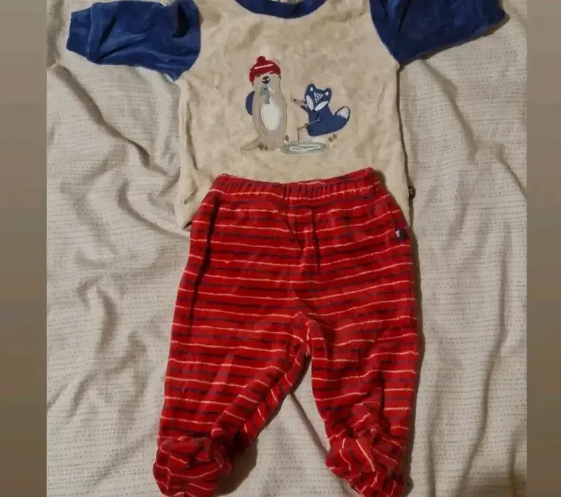 Conjunto infantil pingüino y zorro