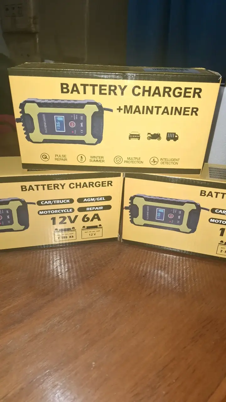 Cargador reparador de baterías - 5