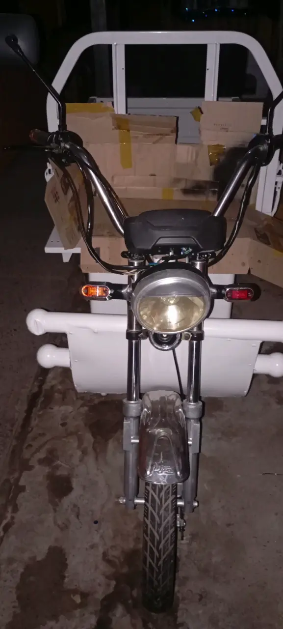 Moto eléctrica de carga blanca - 6