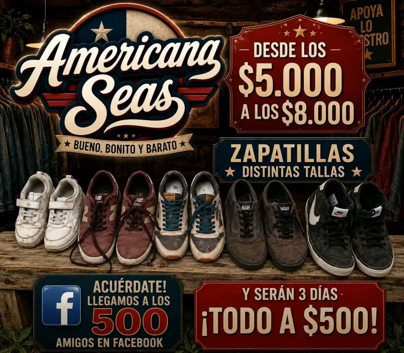 Zapatillas variadas en buen estado