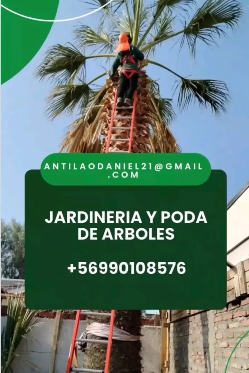 Jardineria y poda de arboles
