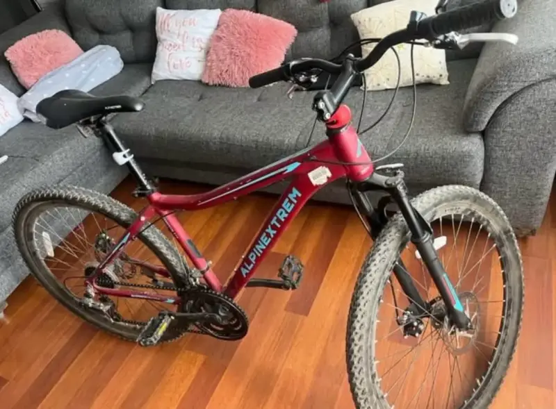 Bicicleta montaña Alpinextrem roja - 3