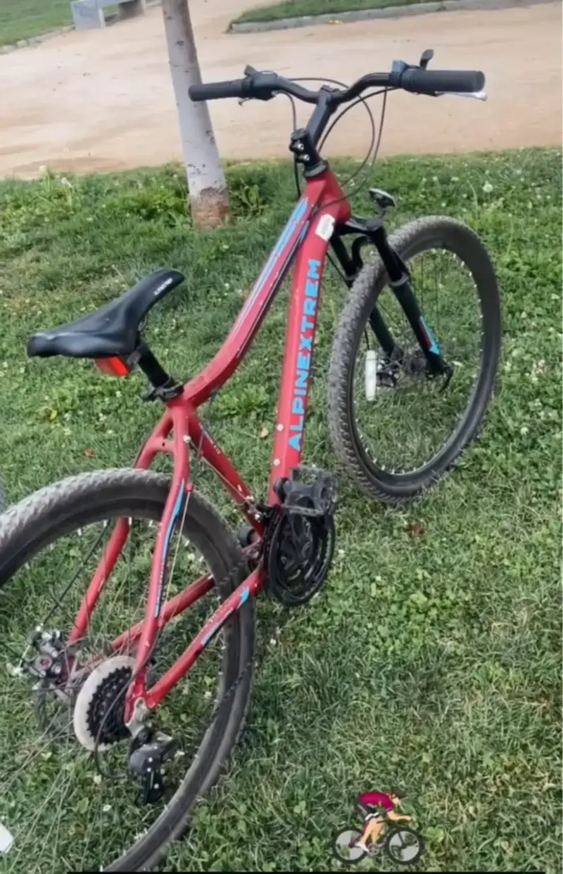 Bicicleta montaña Alpinextrem roja - 4