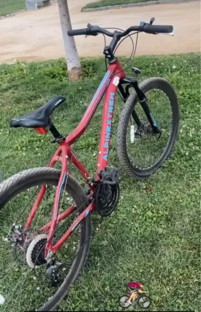Bicicleta montaña Alpinextrem roja - miniatura 4