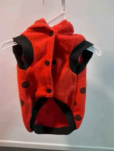 Disfraz de mariquita para perro - miniatura 1