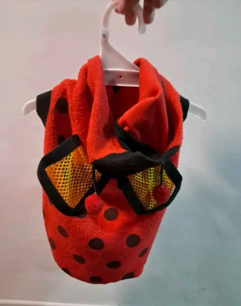 Disfraz de mariquita para perro - 2