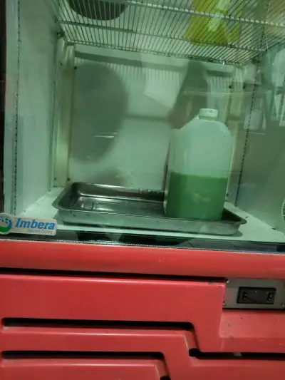 Refrigerador Cooler - miniatura 3