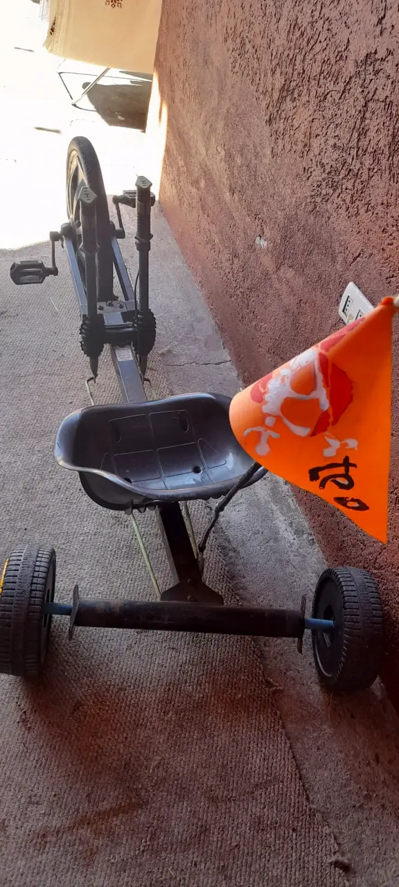 Triciclo infantil con bandera - 1