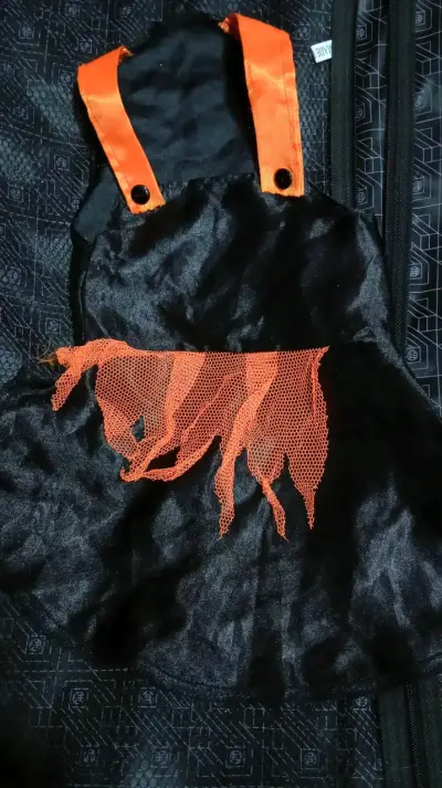 Lote de ropita para perro - miniatura 5