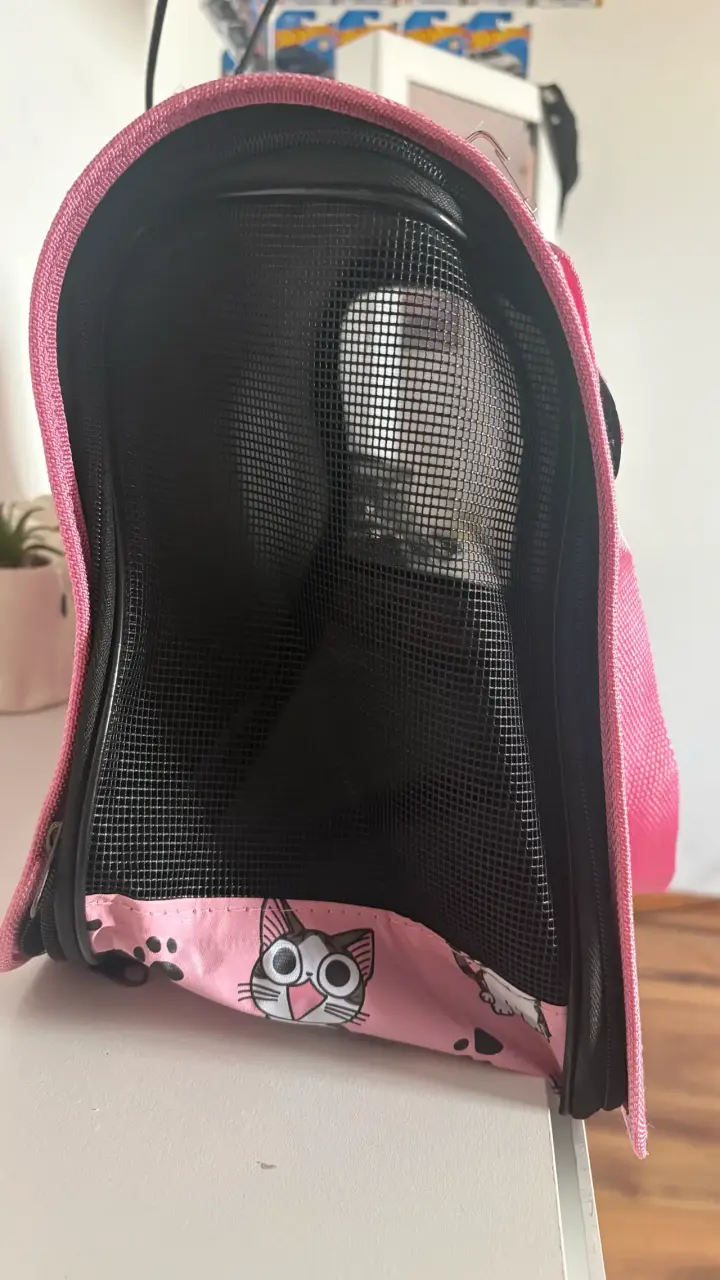 Transportín rosa para gatos - 4