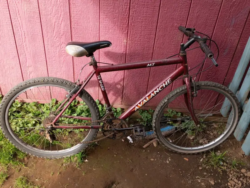 Bicicleta de montaña Avalanche