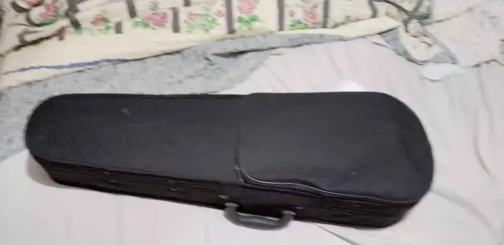 Violín con estuche y arco - 2