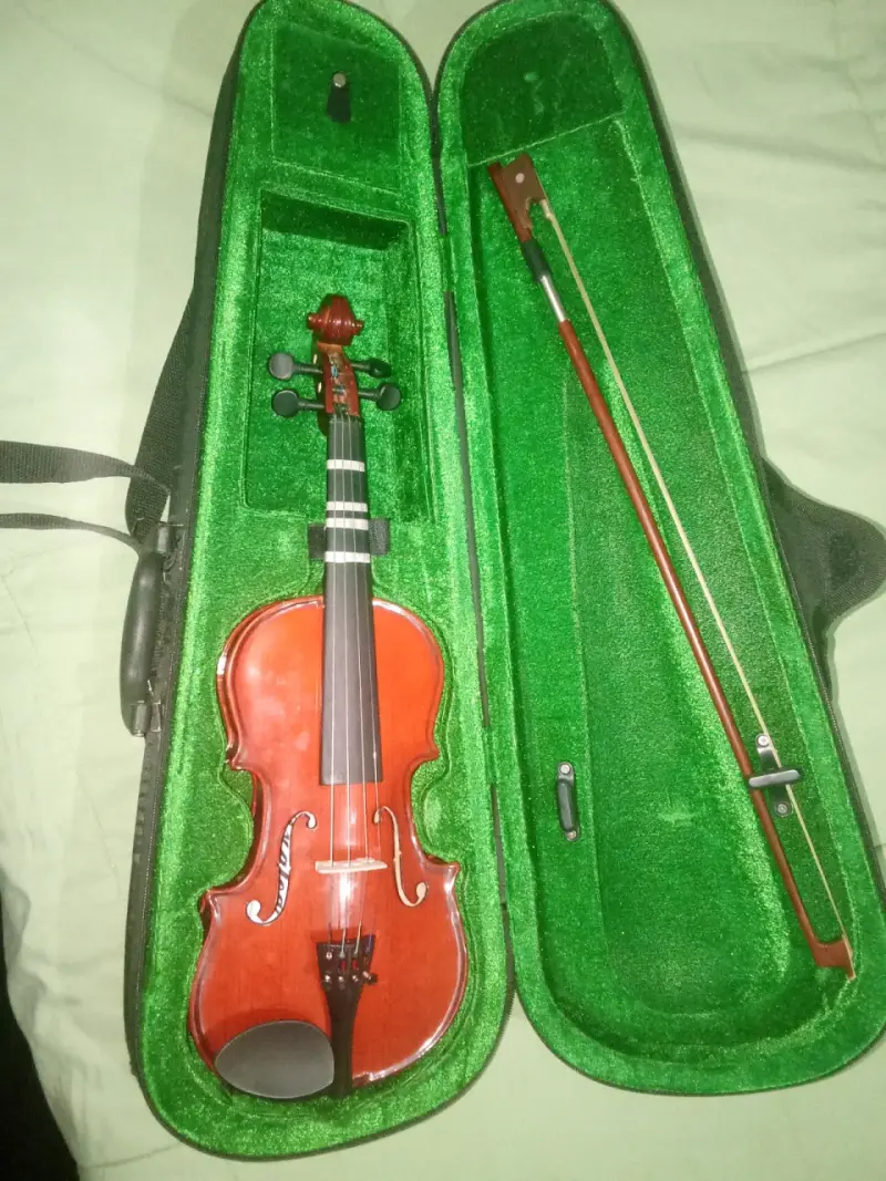 Violín con estuche verde