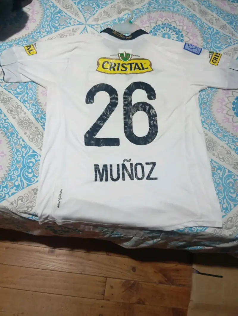 camiseta titular de Colo-Colo del año 2013 - 1