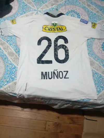 camiseta titular de Colo-Colo del año 2013 - miniatura 1