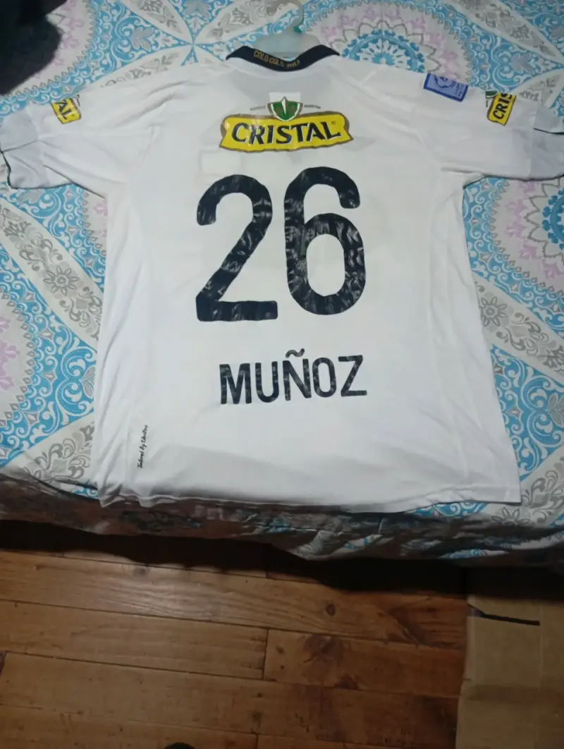 camiseta titular de Colo-Colo del año 2013 - 4