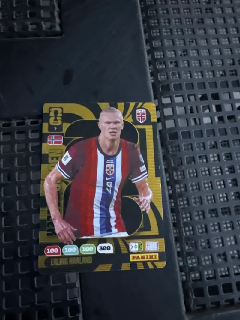 Tarjeta coleccionable Panini fútbol