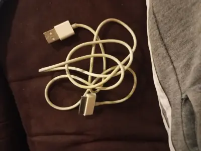 Cable Original Apple 30 Pines (iPod, iPhone 4s, iP - miniatura 2