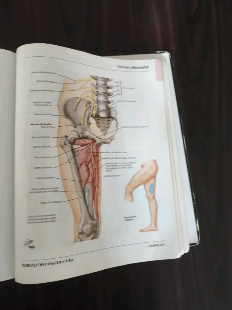 Atlas de Anatomía Humana 3ª edición - 3