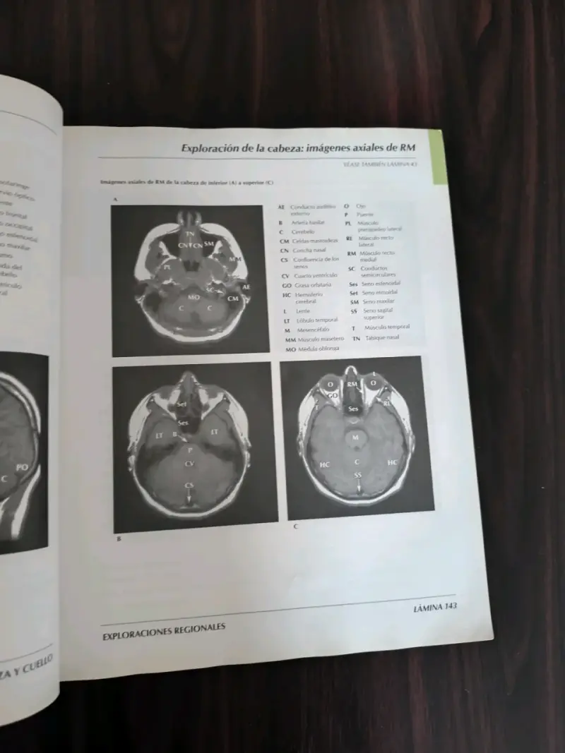 Atlas de Anatomía Humana 3ª edición - 6
