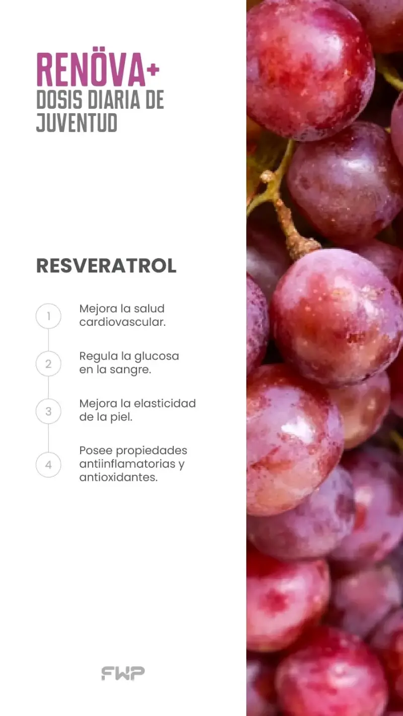 Suplemento Renöva+ antioxidante - 5