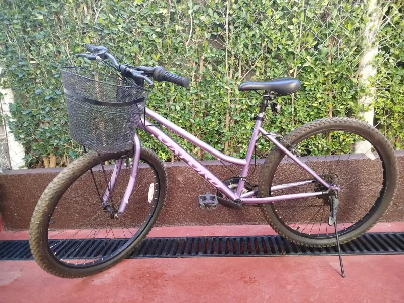 Bicicleta morada con canasto