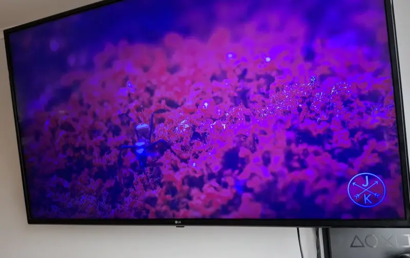 Televisor LG UHD 55 pulgadas - 3