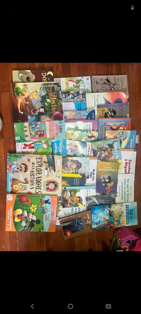 Lote de libros infantiles variados