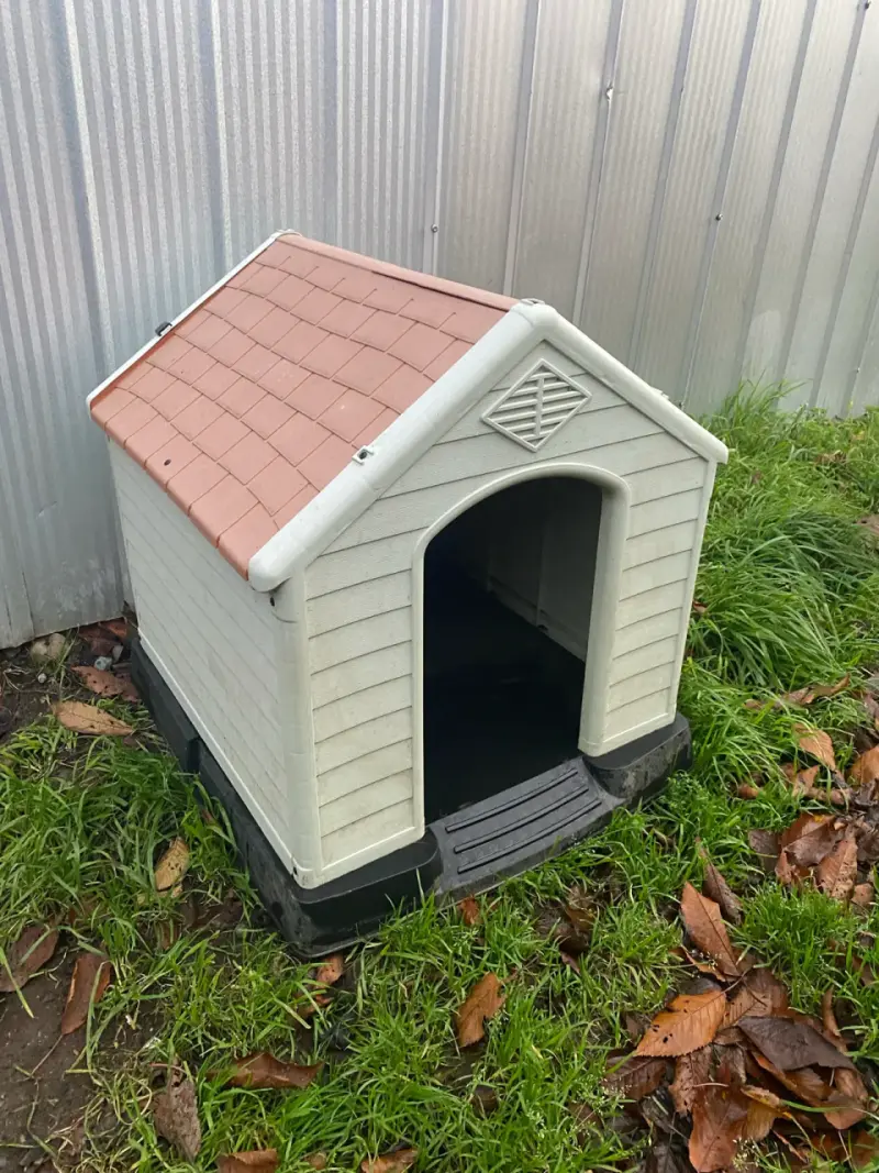 Caseta plástica para perro