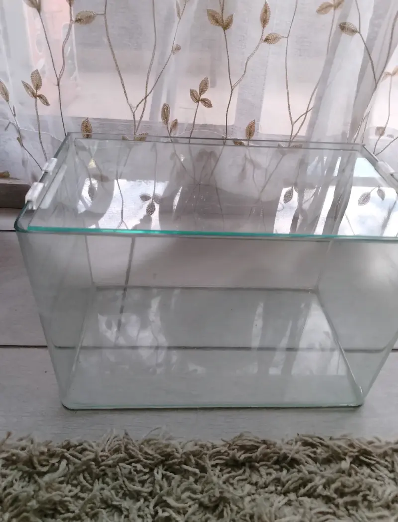 Acuario de vidrio mediano y accesorios - 1