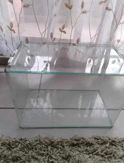 Acuario de vidrio mediano y accesorios - miniatura 1