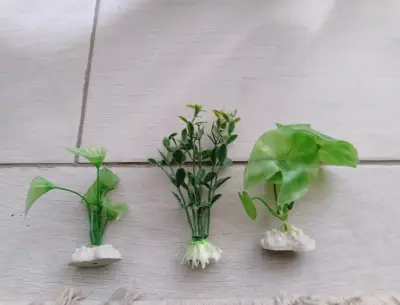 Acuario de vidrio mediano y accesorios - miniatura 4