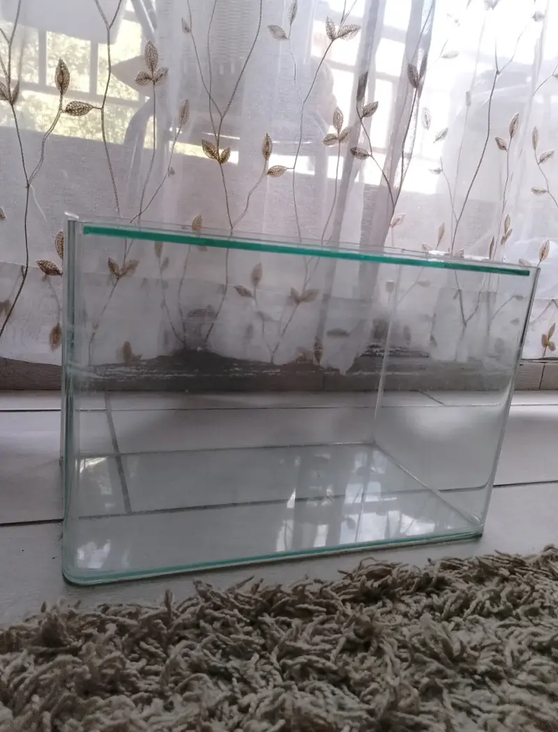 Acuario de vidrio mediano y accesorios - 5