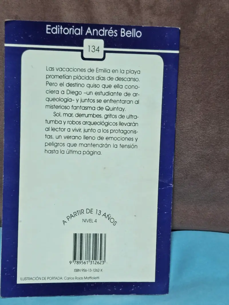 Emilia Intriga en Quintay libro - 2