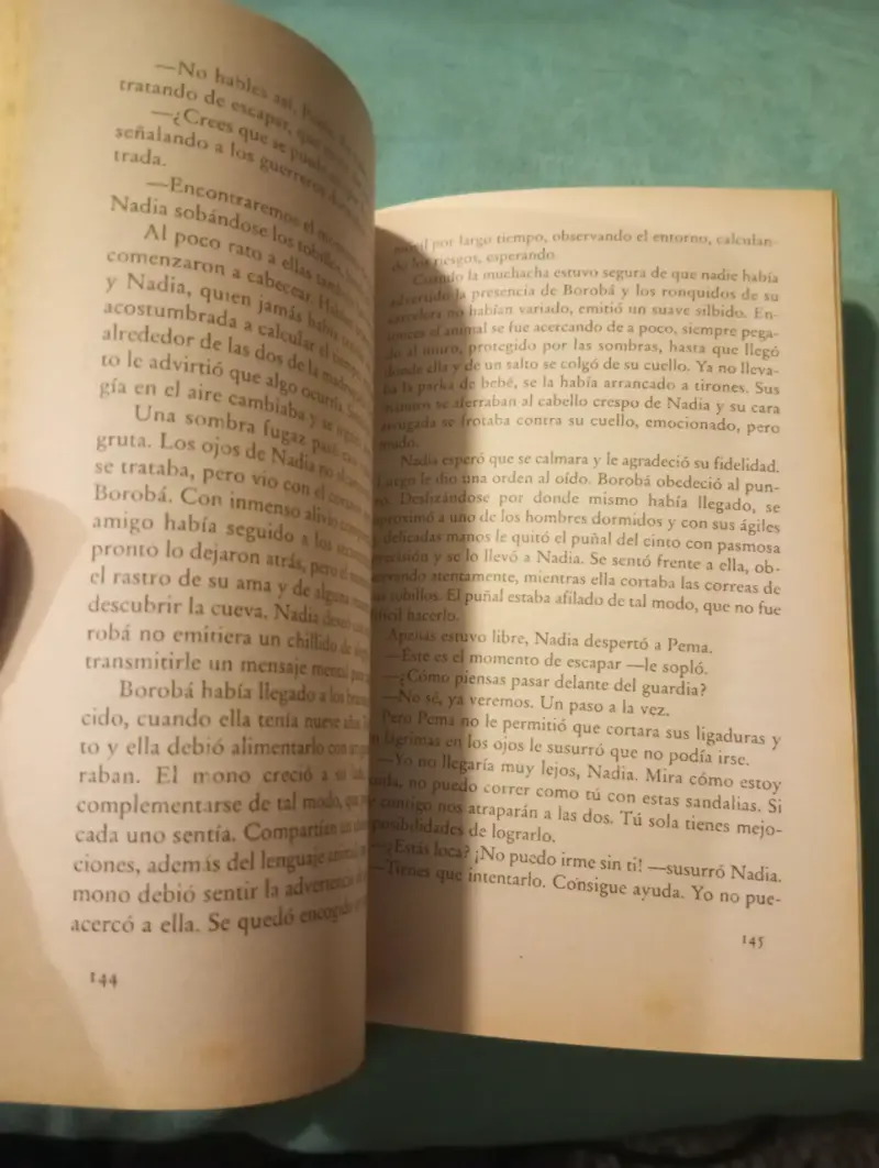Libro 'El Reino del Dragón de Oro' - 3