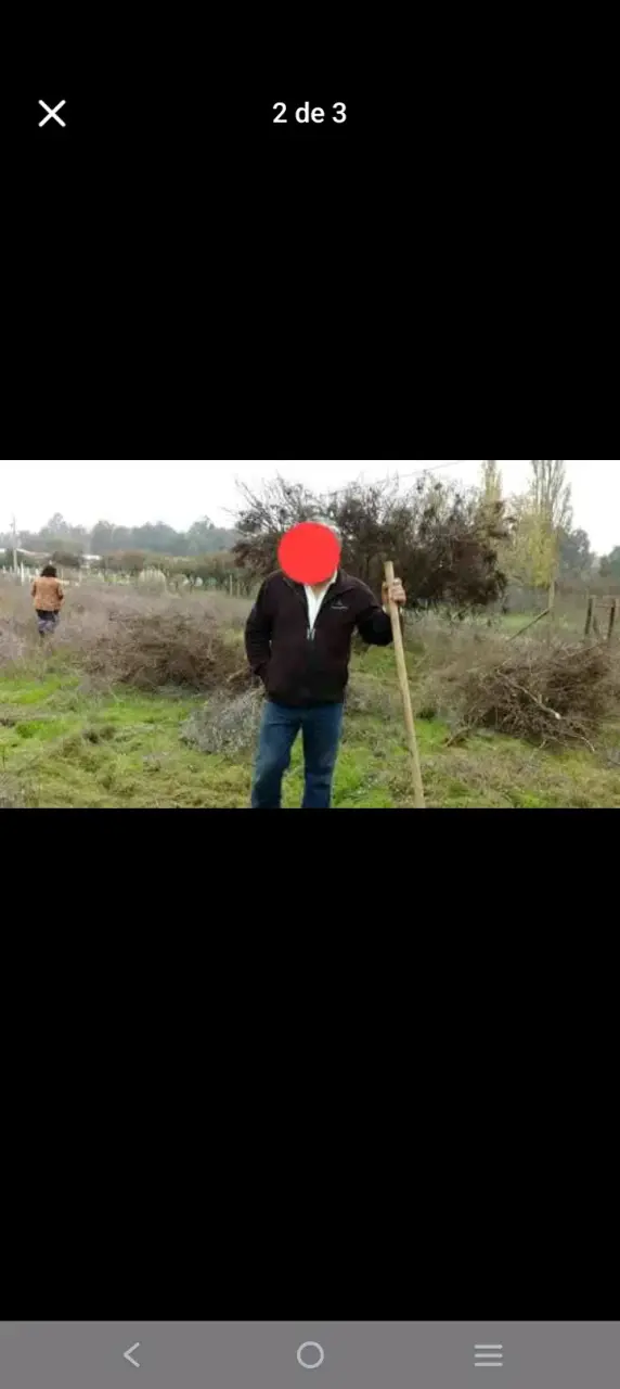 Se vende parcela de 5 mil 40 metros cuadrados - 2