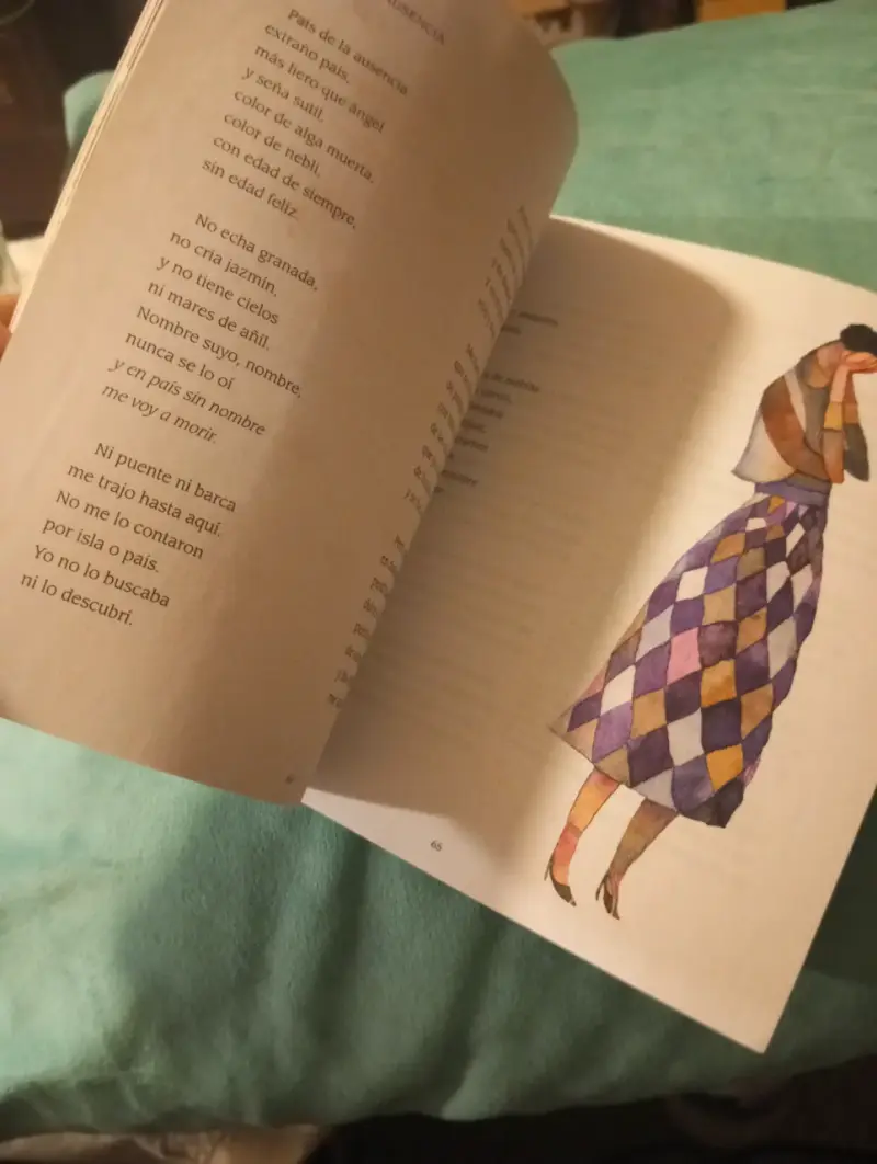 Libro Gabriela La Poeta Viajera - Editorial Amanut - 3