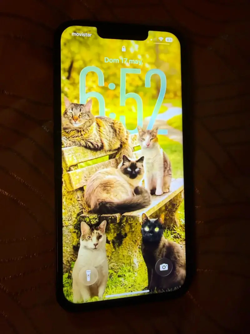 IPhone 13 - 2