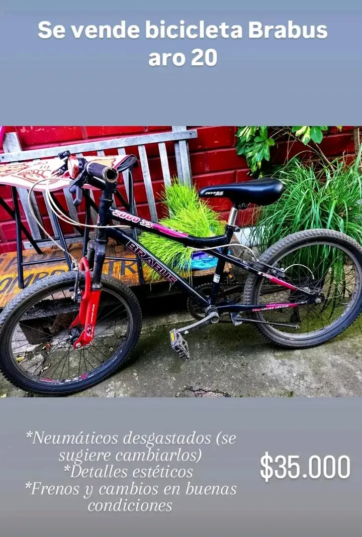 Bicicleta Brabus aro 20 - 1