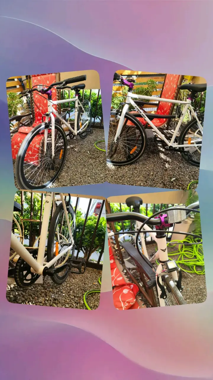 Bicicleta urbana blanca