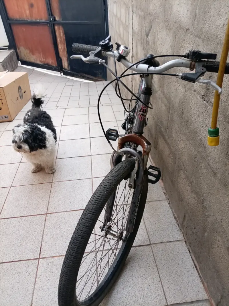 Bicicleta Bianchi montaña gris - 6